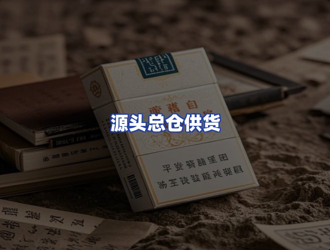 专业团队